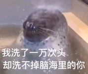 我洗了一万次头却洗不掉脑海里的你