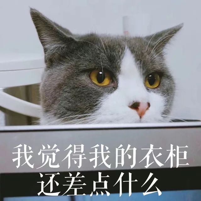 我觉得我的衣柜还差点什么（我觉得我的衣柜还差点什么）