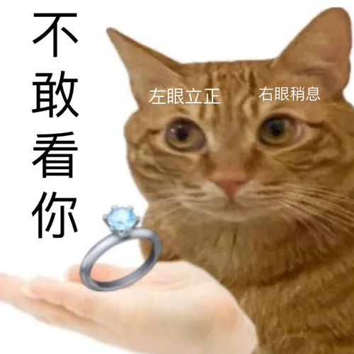 不敢看你左眼立正右眼稍息（不敢看你左眼立正右眼稍息）