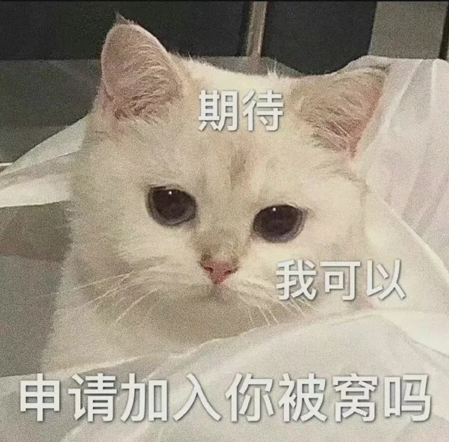 期待我可以申请加入你被窝吗