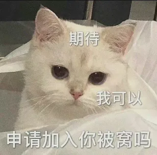 期待我可以申请加入你被窝吗
