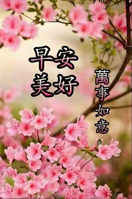 早安美好萬事如意（早安美好萬事如意）