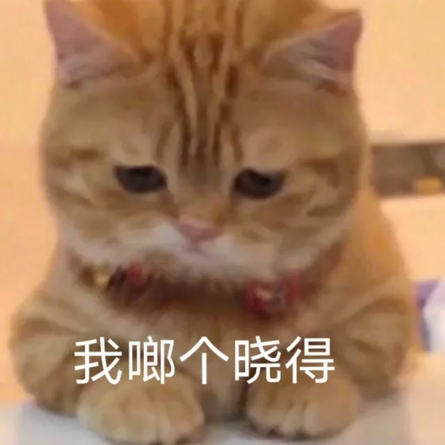 我啷个晓得（我啷个晓得）