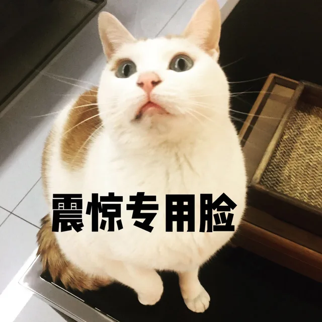 震惊专用脸