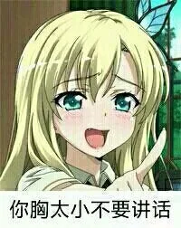 你胸太小不要讲话 - 美女_胸太小_美女