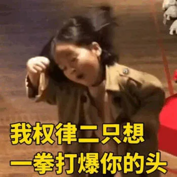 群殴权律二只想一拳打爆你的头（群殴权律二只想一拳打爆你的头）