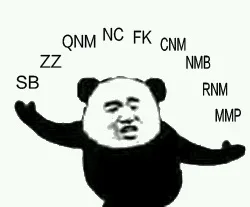 熊猫头怼人表情连击，SB ZZ QNM NC FK