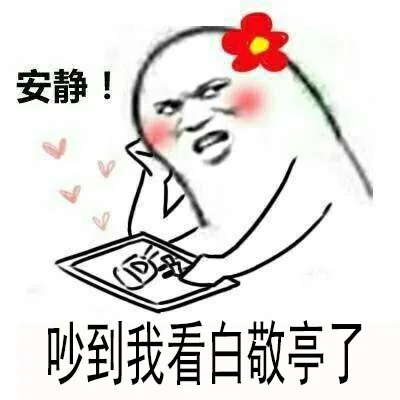 安静!吵到我看白敬亭了（安静!吵到我看白敬亭了）