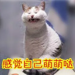 感觉自己萌萌哒