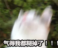 气得我都糊掉了！！（气得我都糊掉了！！）