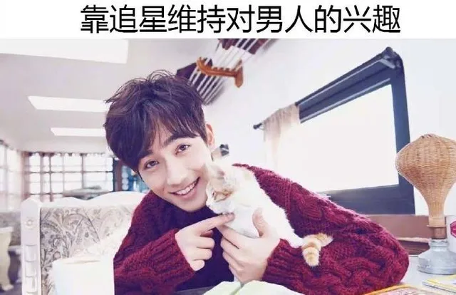 靠追星维持对男人的兴趣（靠追星维持对男人的兴趣）