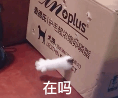 在吗