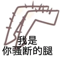 我是你骚断的腿