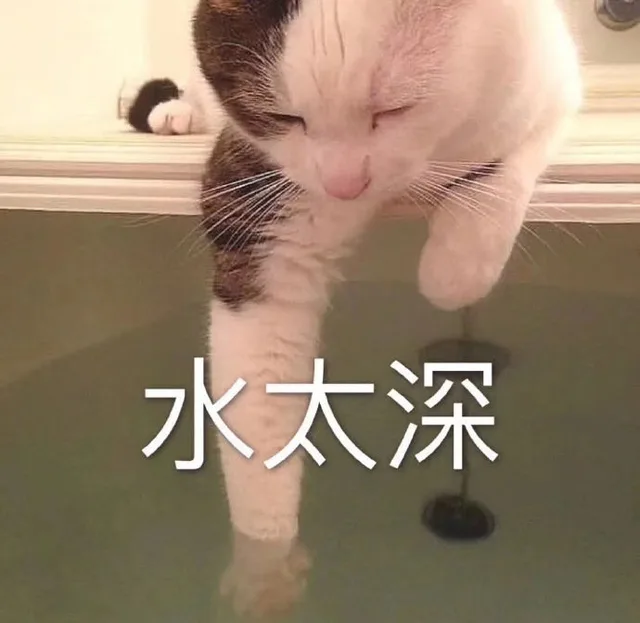 水太深(猫咪表情包)（水太深(猫咪表情包)）
