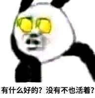 有什么好的？没有不也活着？（有什么好的？没有不也活着？）