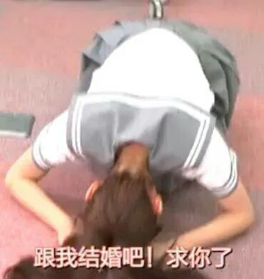 跟我结婚吧！求你了（跟我结婚吧！求你了）
