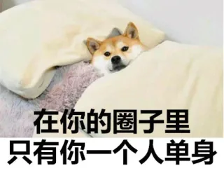 在你的圈子里，只有你一个人单身