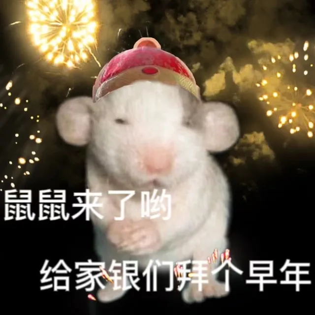 鼠鼠来了哟给家银们拜个早年（鼠鼠来了哟给家银们拜个早年）