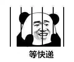 人生四大期盼_熊猫头