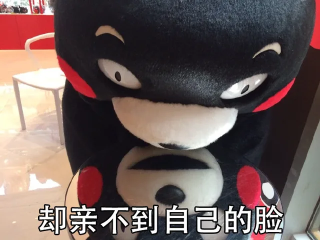 却亲不到自己的脸