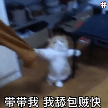带带我 我舔包贼快