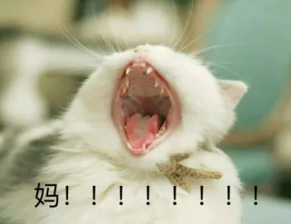 “爸！！！” “干啥？？” “我妈呢？？！！” _妈_爸_萌萌哒表情包