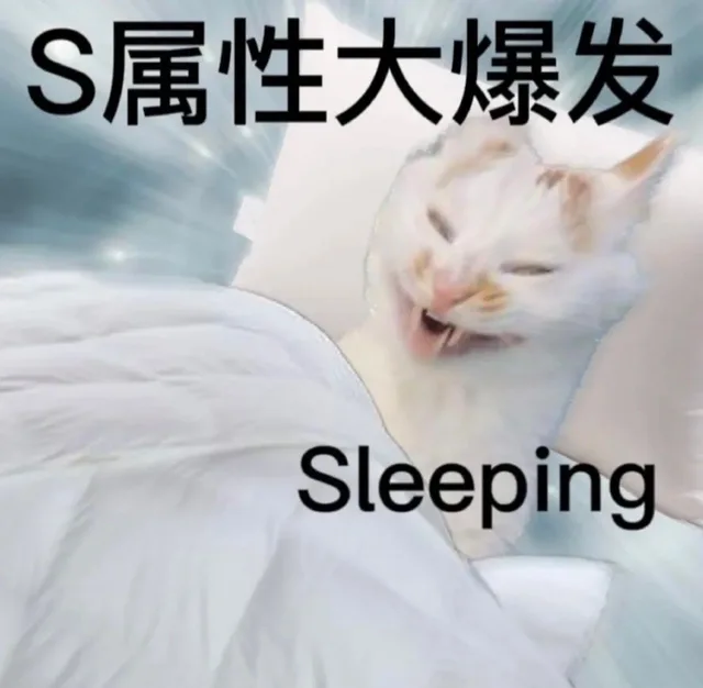 S属性大爆发Sleeping（S属性大爆发Sleeping）