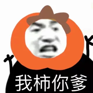 我柿你爹