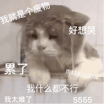 我就是个废物好想哭累了雨好大心好我什么都不行我太难了5555（我就是个废物好想哭累了雨好大心好我什么都不行我太难了5555）