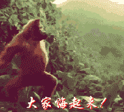 我要打炮，我不管我就要打炮。表情包