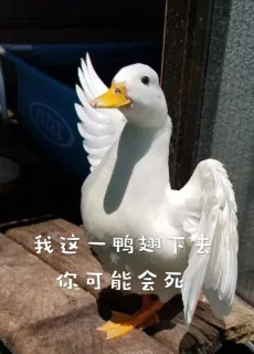 我这一鸭翅下去你可能会死