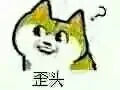 歪头？？