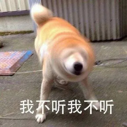 我不听 我不听 狗子摇头（我不听 我不听 狗子摇头）