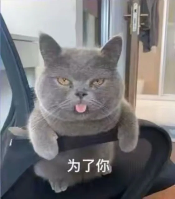 为了你（为了你）