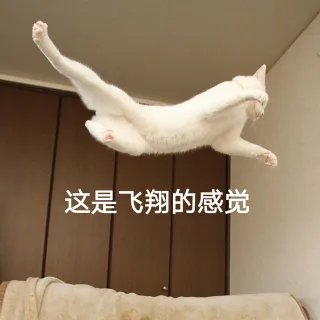 这是飞翔的感觉