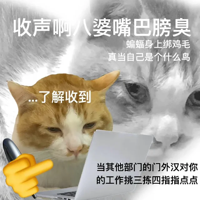 收声啊八婆嘴巴膀臭蝙蝠身上绑鸡毛真当自己是个什么鸟了解收到当其他部门的门外汉对你的工作挑三拣四指指点点（收声啊八婆嘴巴膀臭蝙蝠身上绑鸡毛真当自己是个什么鸟了解收到当其他部门的门外汉对你的工作挑三拣四指指点点）