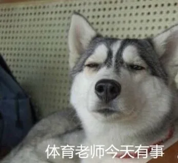 体育老帅今天有事