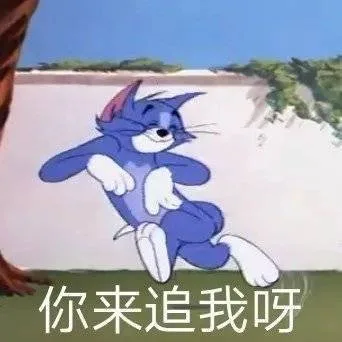 你来追我呀