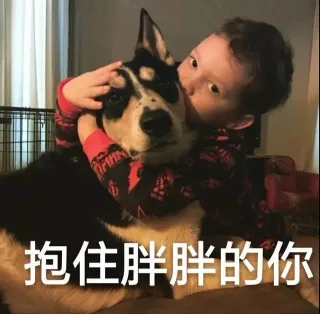 假笑男孩Gavin表情包_假笑男孩_Gavin表情包