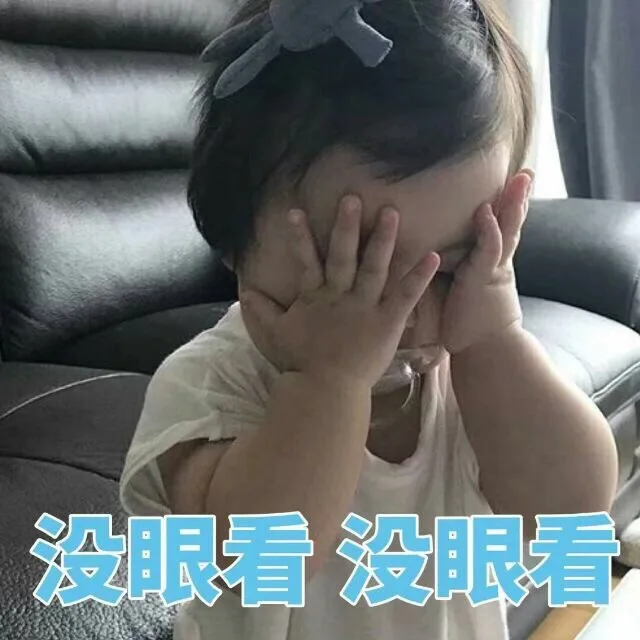 没眼看没