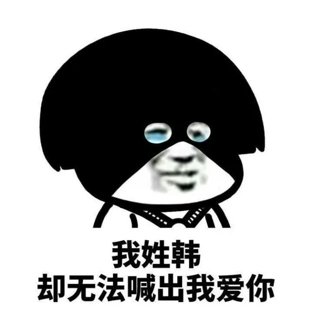 我姓韩却无法喊出我爱你（我姓韩却无法喊出我爱你）