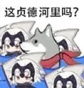 这贞德河里吗?