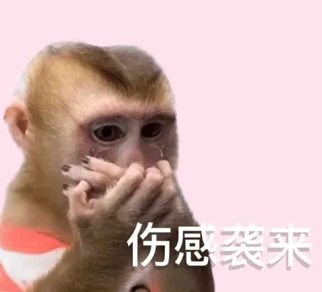 伤感袭来(吗喽表情包)（伤感袭来(吗喽表情包)）