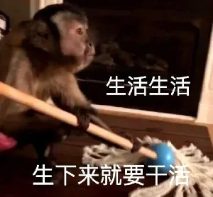 生活生活生下来就要干活（生活生活生下来就要干活）