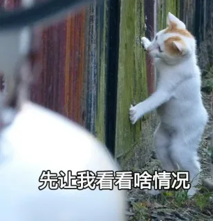 先让我看看啥情况