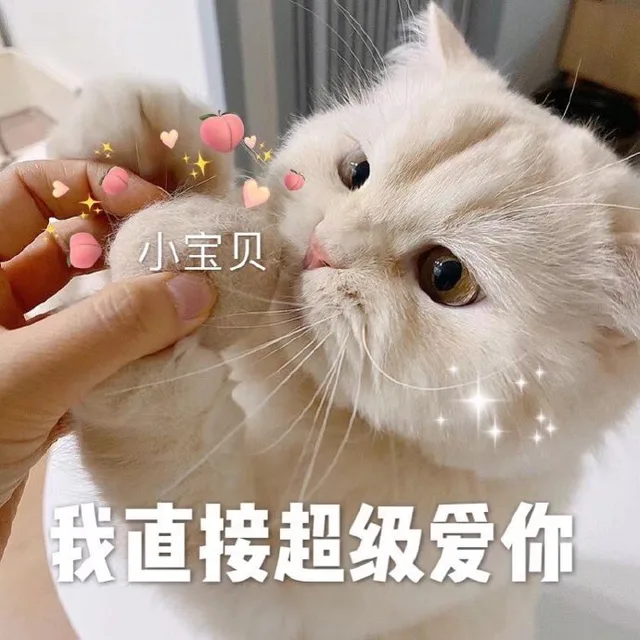 小宝贝我直接超级爱你