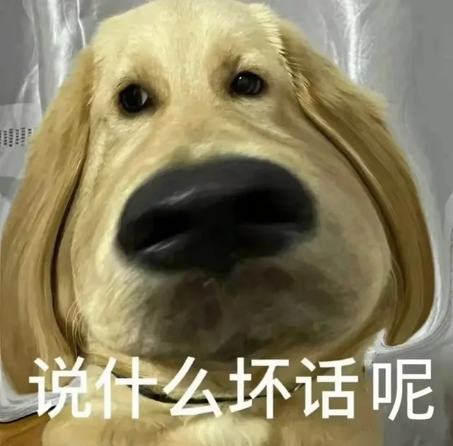 说什么坏话呢