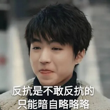 反抗是不敢反抗的，只能暗自略略略