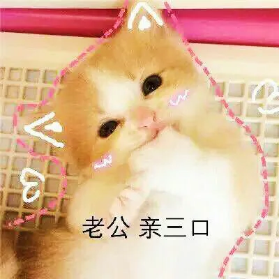 老公，亲三口（老公，亲三口）