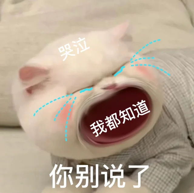哭泣我都知道你别说了（哭泣我都知道你别说了）